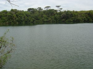 Lagoa-Dourada-Parque-Estadual-de-Vila-Velha-State-Park-Golden-Pond